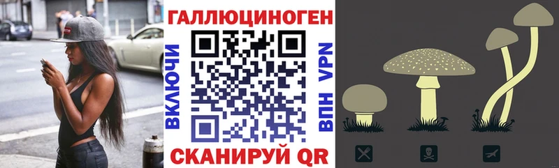 Псилоцибиновые грибы прущие грибы  Заозёрск 
